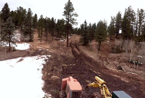Fire Mitigation and Forest Health Work by Chaparral Construction