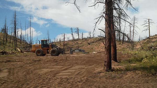 Wildfire Rehabilitation by Chaparral Construction