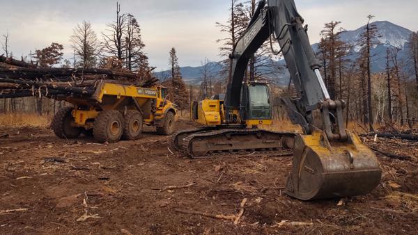Wildfire Rehabilitation by Chaparral Construction