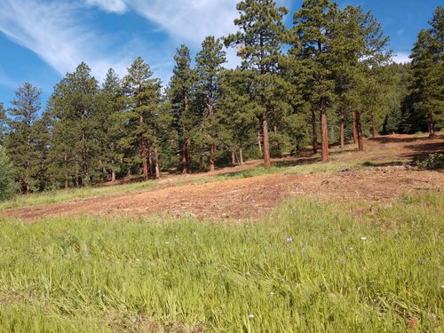 Land Clearing Services by Chaparral Construction in La Veta and Huerfano County